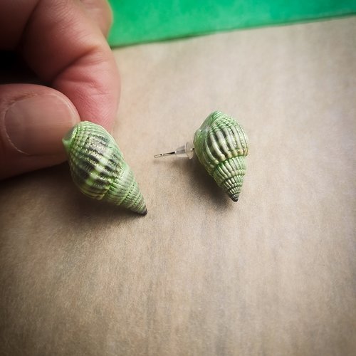 Boucles d'oreilles coquillages naturels vert doré – argent sterling 925