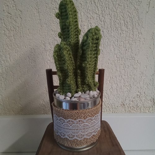 Cactus tout doux en laine décoratif très réaliste