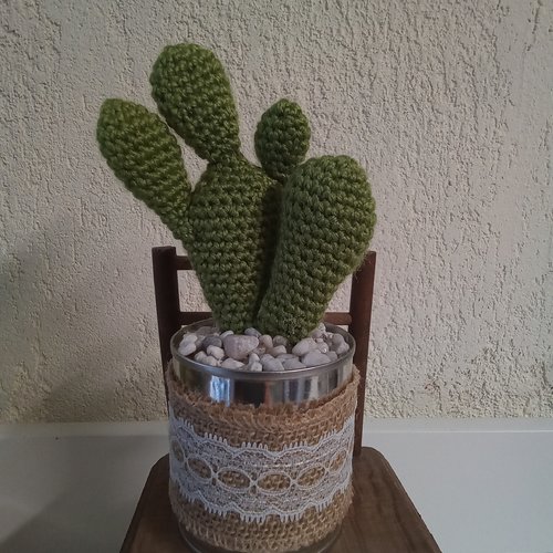 Cactus décoratif en laine très réaliste