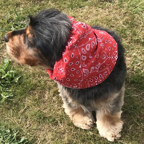 Snood pour chien anti-epillet bandana rouge