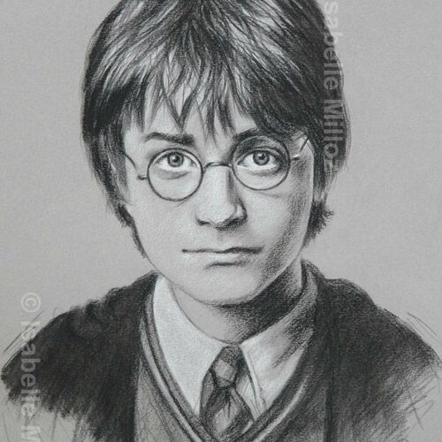 Harry Potter Jeune Portrait Original De Daniel Radcliffe