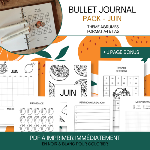 Pack bullet journal juin – thème agrumes (pdf imprimable a4/a5)