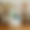 Chat noir sur les toilettes