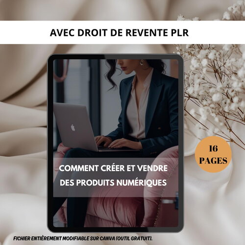 Ebook à revendre : guide de création et de vente de produits numériques