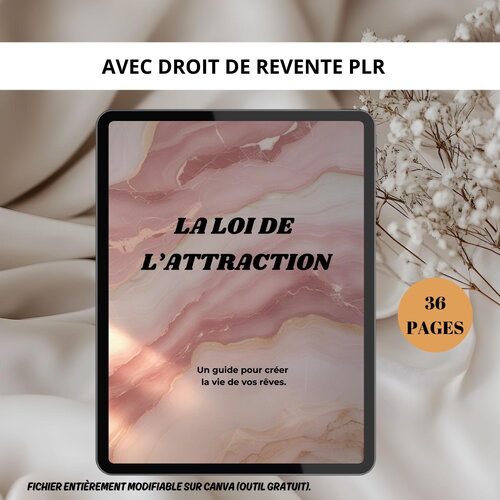 Ebook à revendre : la loi de l'attraction