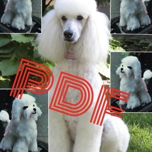 Amigurumi,peluche chien puddle au crochet.pattern tutoriels anglais en pdf  + légende symbole anglais français