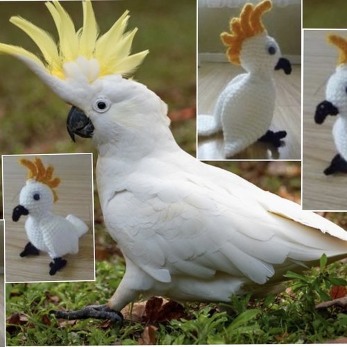 Amigurumis,modèle perroquet blanc  au crochet,format pdf