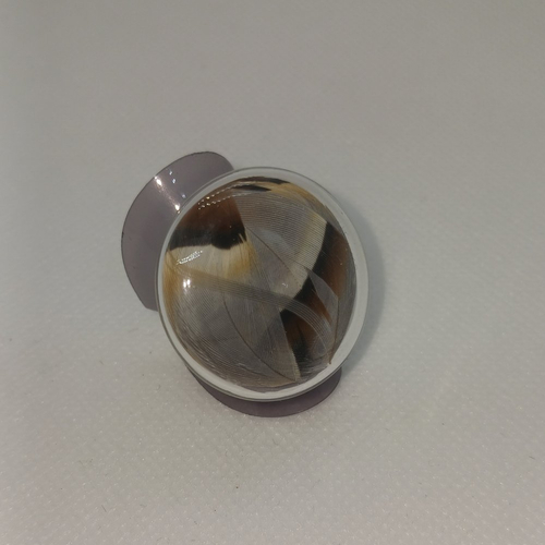 Bague en verre contenant des plumes de canard