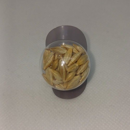 Bague en verre contenant des graminées