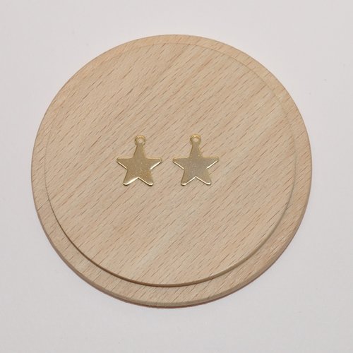 Lot de 2 breloques étoiles en acier inoxydable doré 15x13mm pour création de bijoux, breloques etoiles dorées