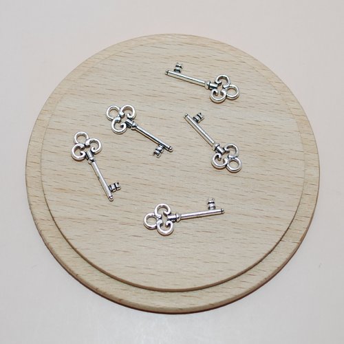 Lot de 5 breloques clés argents pour création de bijoux