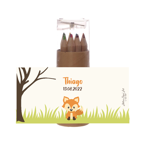Tube de crayons - thème animaux de la forêt- raton, hérisson, biche, renard, lapin, écureuil -baptême - anniversaire