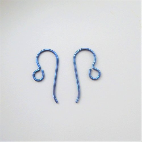1 paire de crochets d'oreilles bleu en niobium