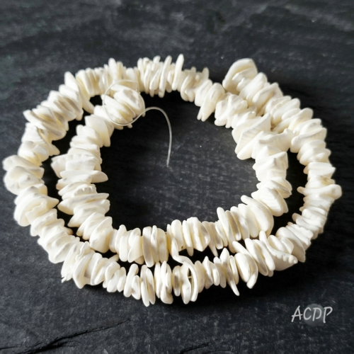 Perles chips carré en coquillage fragum naturel, 7x3 mm