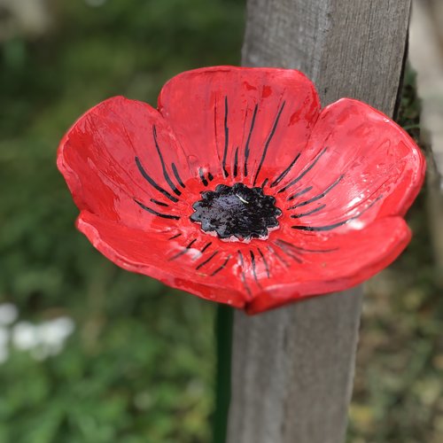 Coquelicot poterie