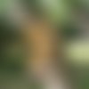 Tableau en bois « je suis au jardin »