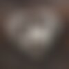 Le malamute de l'alaska: décoration murale personnalisée avec la silhouette de votre chien, race favorite.