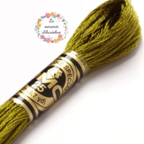 Fil à broder main dmc n°580 - vert cactus