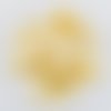 30g de sequins cup champagne transparent - 6mm