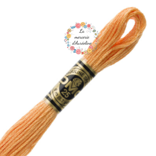 Fil à broder main dmc n°3854 - orange epices