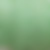 Biais vichy vert et lurex -  2cm