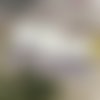 Lingettes maëlane blanches  (le lot de 3)