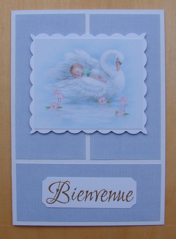 Carte Naissance Garcon Bienvenue Image Bebe Et Cygne Un Grand Marche