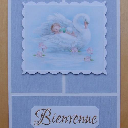 Carte Naissance Garcon Bienvenue Image Bebe Et Cygne Un Grand Marche