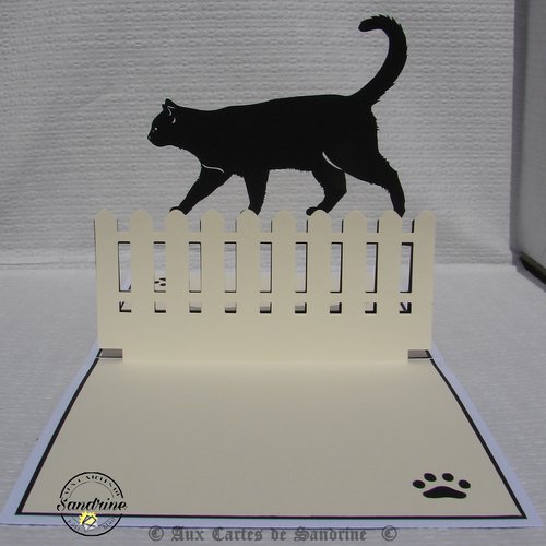 Carte Anniversaire Chat Un Grand Marche