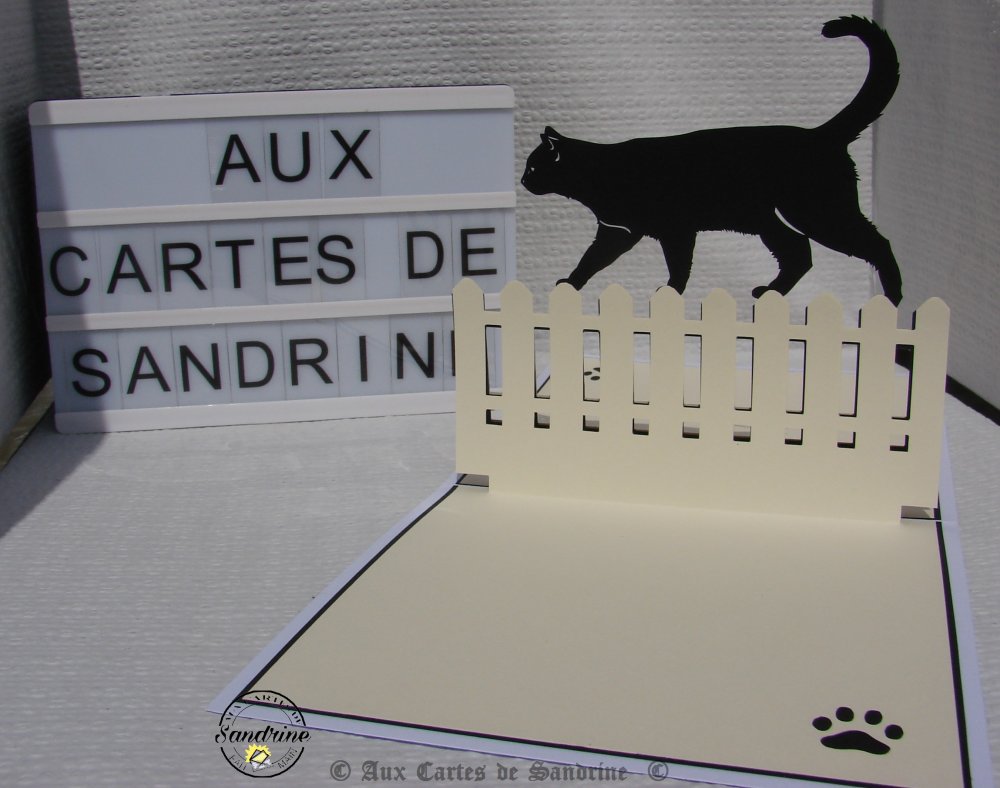 Carte Anniversaire Chat Un Grand Marche