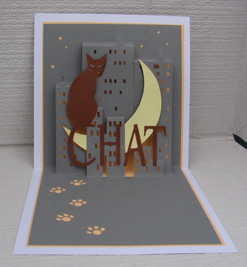 Carte Anniversaire Kirigami Chat Un Grand Marche