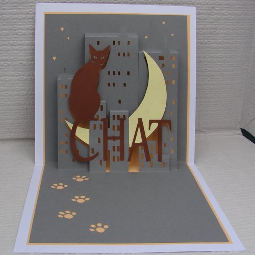 Carte Anniversaire Kirigami Chat Un Grand Marche