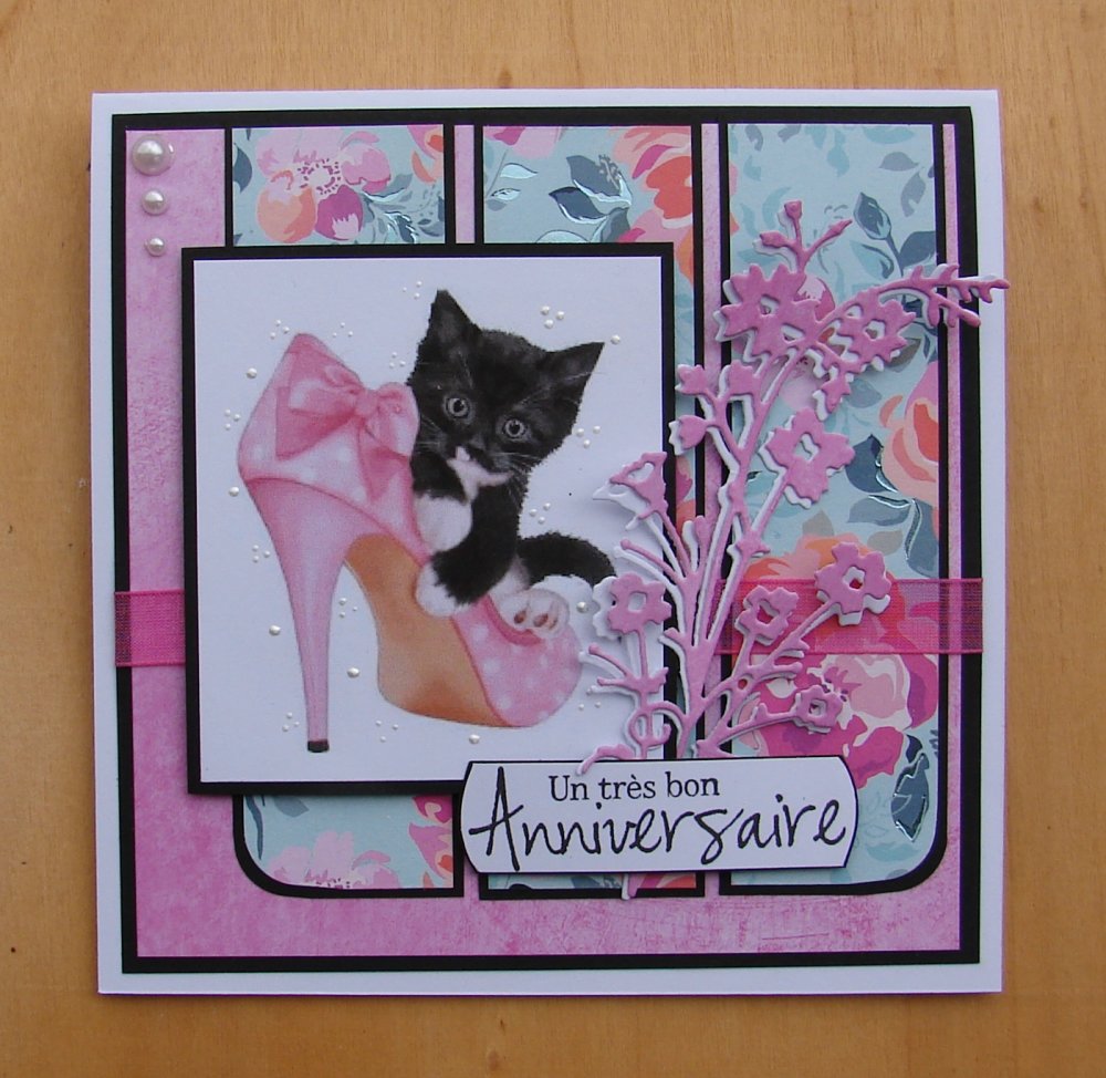 Carte Anniversaire Rose Noire Chaton Dans Chaussure Un Grand Marche