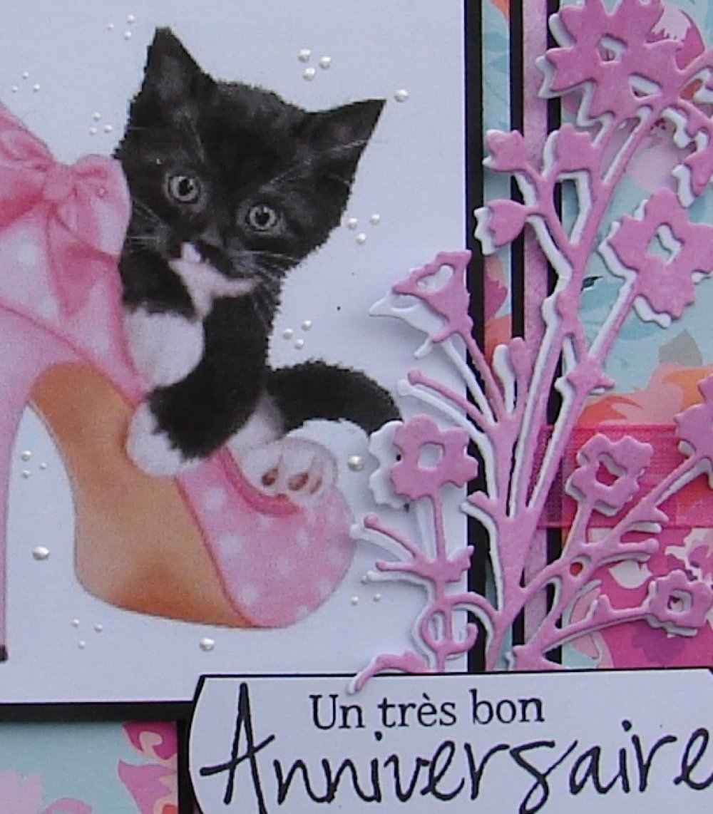 Carte Anniversaire Rose Noire Chaton Dans Chaussure Un Grand Marche