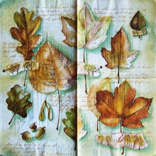 Serviette en papier feuilles d'automne type "herbier" #f014u