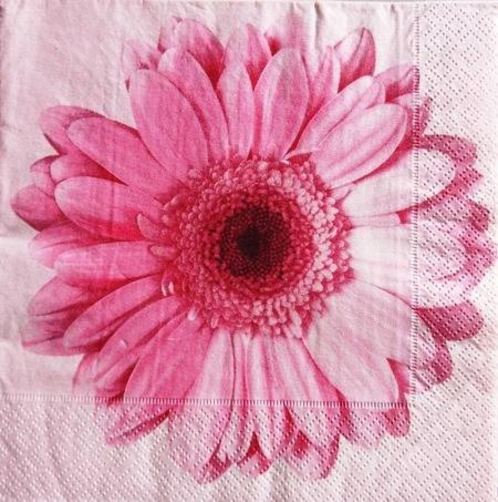 Serviette en papier gerbera rose #f010u - Un grand marché