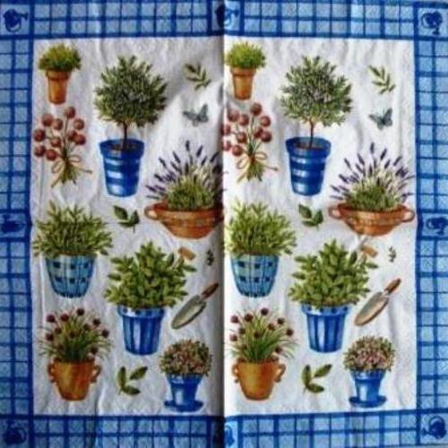 Serviette en papier pots d'herbes et fleurs variés #f043u