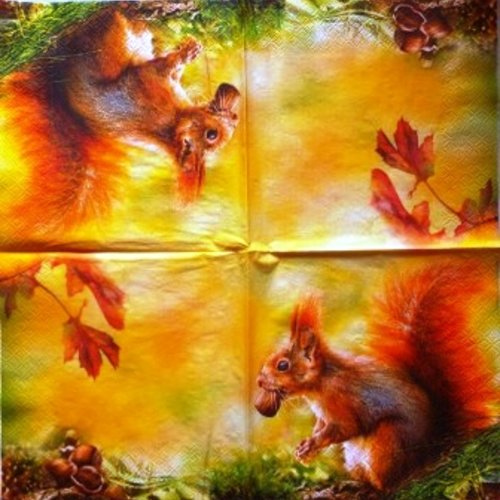 Serviette en papier l'écureuil et la noisette #an088u