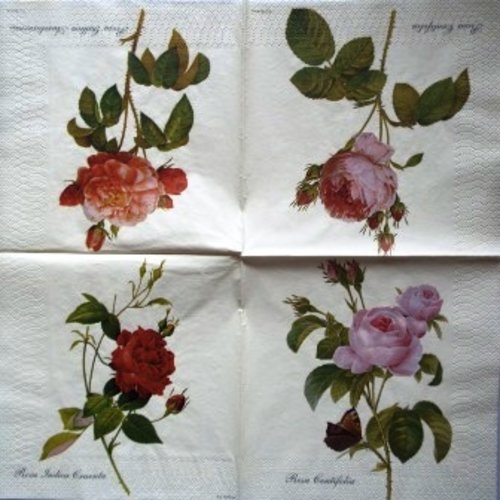Serviette en papier tiges de roses et papillons #f003u