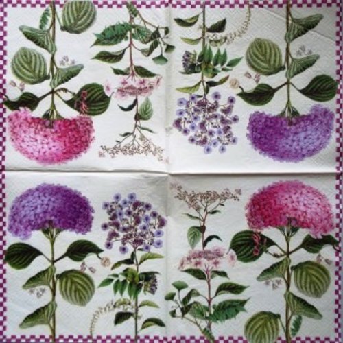 Serviette en papier fleurs d'hortensia #f025u