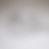 Ruban organza argenté pailleté 12 mm, 1 m, ruban argenté transparent