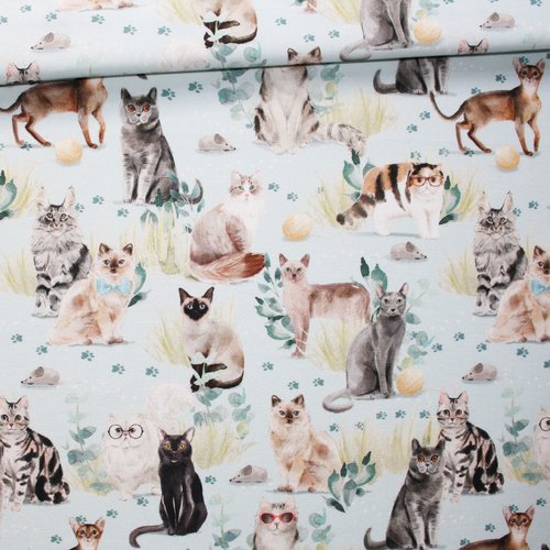 Tissu chats sur un fond turquoise pastel en coton imprimé premium oeko tex