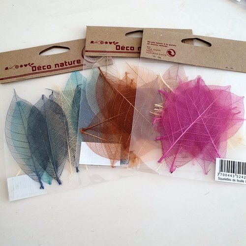Feuilles squelette séchées pour embellissements.