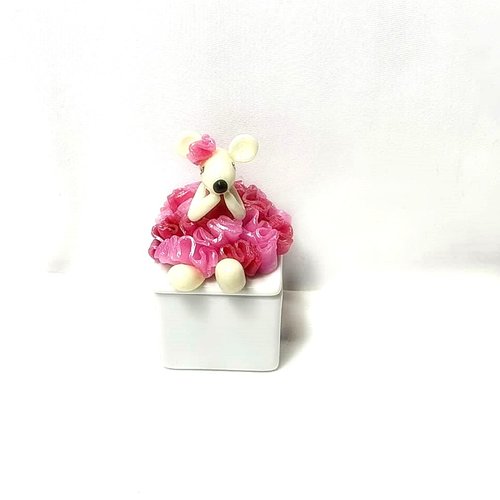 Boite à dents de lait,accessoire bébé, cadeau naissance,souris phosphorescente