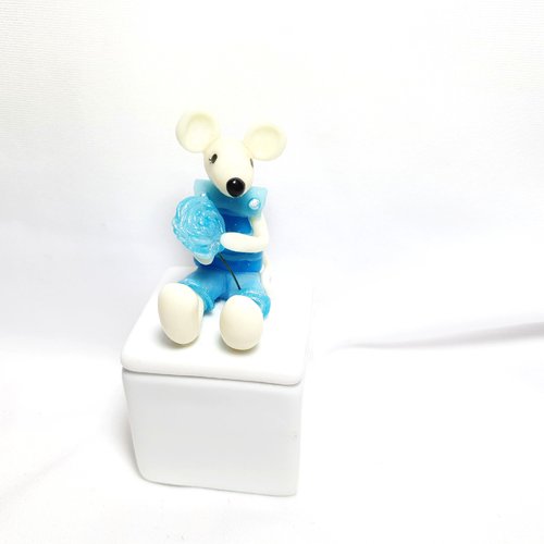 Boite à dents de lait, boite souvenir garçon,cadeau naissance, souris décorative,