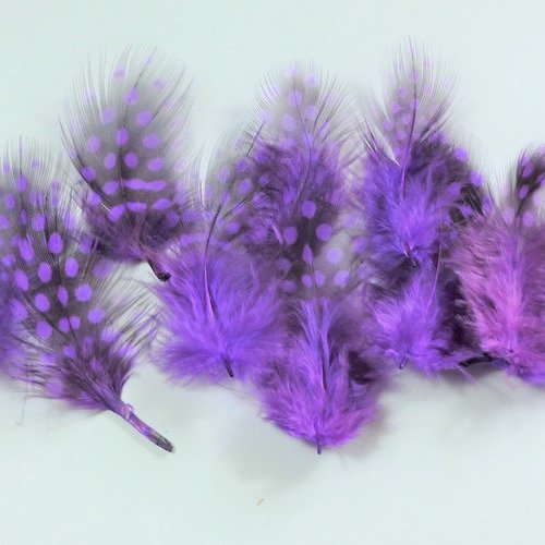 10 plumes naturelles violettes 5 à 9cm