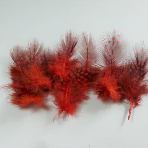 10 plumes naturelles rouges  5 à 9cm