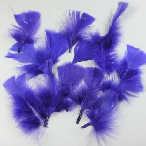 10 plumes violettes  9 à 10cm