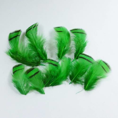10 plumes naturelles vertes et noires de 5 à 7cm