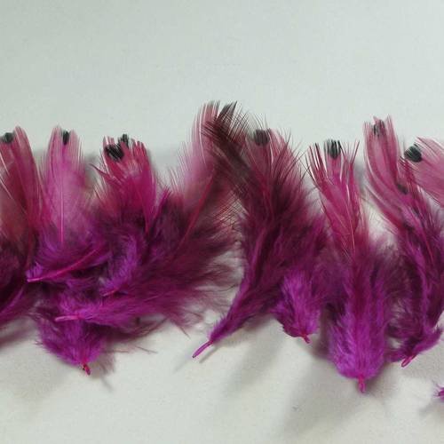 10 plumes fuchsia à bout noir 5 à 12cm
